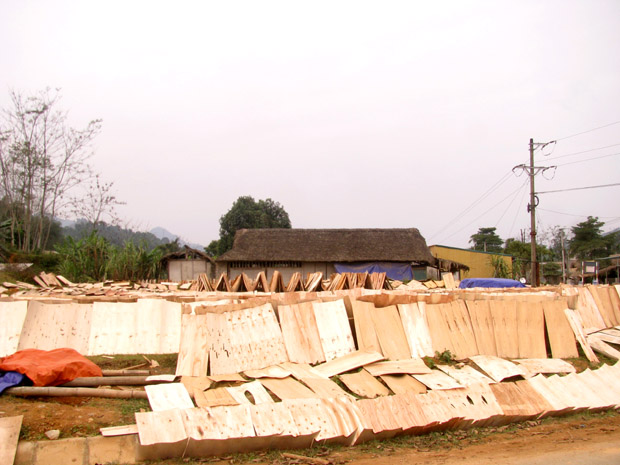Các xưởng thu mua, chế biến gỗ bóc xuất khẩu được đầu tư, xây dựng đang kích thích phát triển kinh tế rừng ở Đông Thành