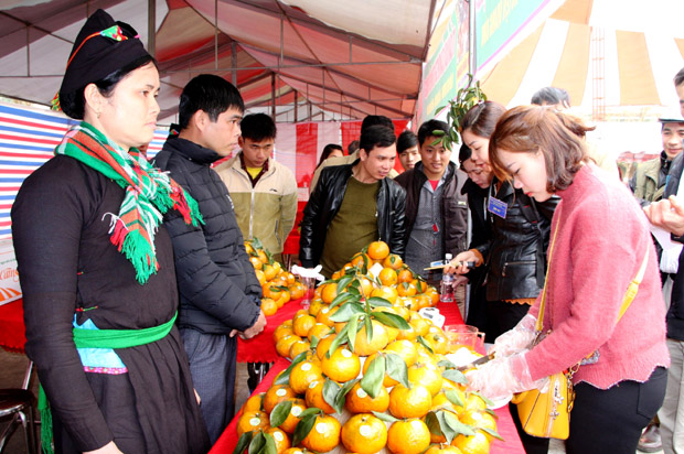 Người dân nô nức tham gia Hội thi cam Sành huyện Quang Bình tại xã Yên Hà.