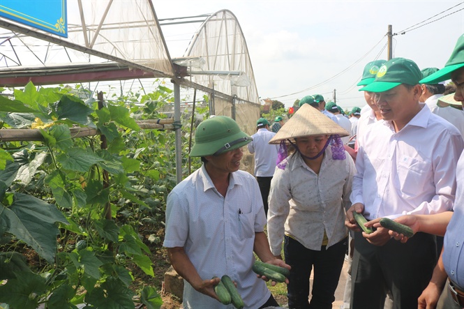 Đoàn đại biểu dự Hội nghị tới thăm HTX nông sản an toàn xã Khánh Thành, huyện Yên Khánh (Ninh Bình)