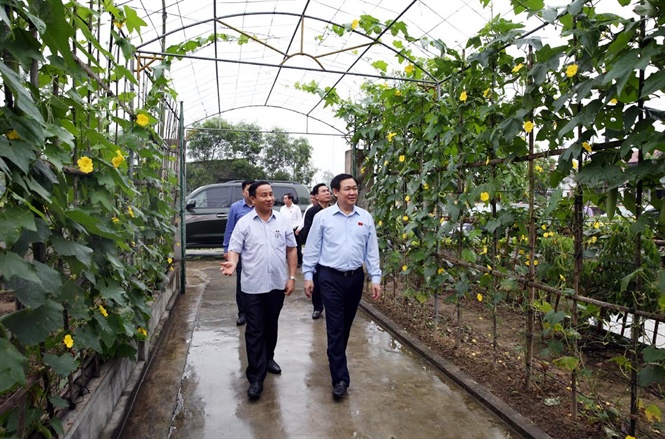 Phó Thủ tướng Vương Đình Huệ thăm một xã NTM của tỉnh Hà Tĩnh