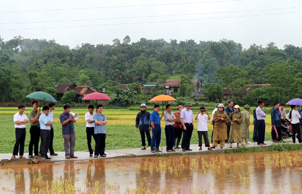 Các đại biểu tham quan khu vực dồn điền, đổi thửa tại thôn Hạ, xã Bằng Lang (Quang Bình).
