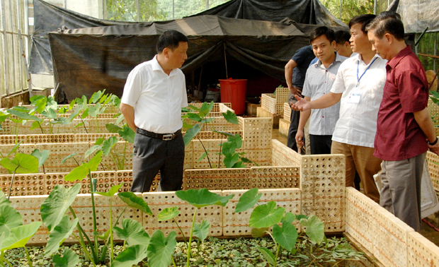 Đồng chí Nguyễn Minh Tiến thăm mô hình nuôi ốc nhồi tại Trung tâm KHKT Giống cây trồng Đạo Đức.