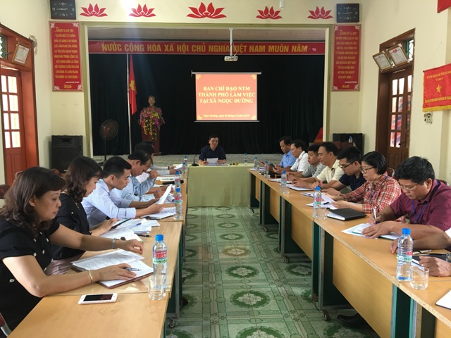 Lãnh đạo Văn phòng Điều phối NTM tỉnh và Ban Chỉ đạo NTM thành phố làm việc tại xã Ngọc Đường