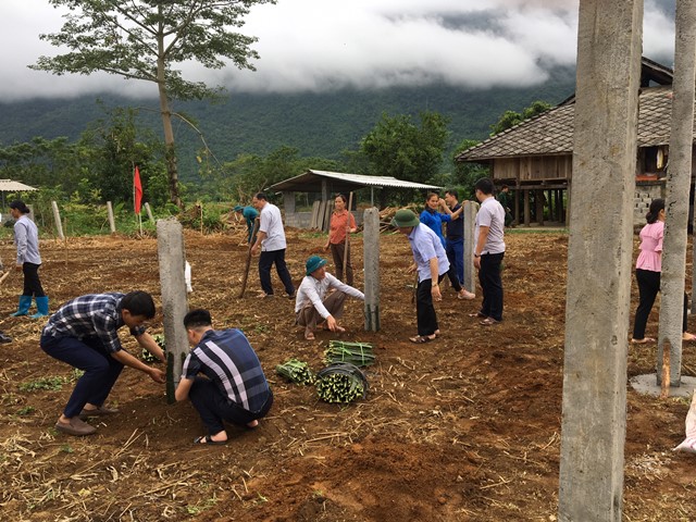 Các đồng chí Lãnh đạo tham gia trồng cây Thanh Long tại hộ gia đình ông Cháng Xuân Bộ, thôn Lùng Càng, xã Phong Quang