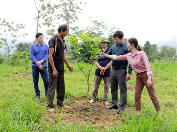 Lãnh đạo huyện Vị Xuyên và xã Tùng Bá kiểm tra vườn bưởi Da xanh của gia đình ông Mương Ơn Lăng, thôn Bản Đén