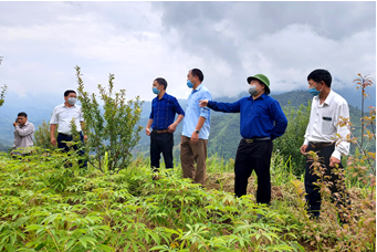 Đoàn công tác của Văn phòng Điều phối Nông thôn mới tỉnh thăm mô hình cải tạo vườn tạp tại xã Nam Sơn.